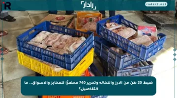 ضبط 20 طن من الأرز والنخالة وتحرير 740 محضرًا للمخابز والأسواق.. ما التفاصيل؟